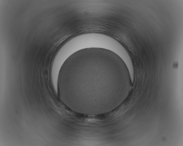 X0000090620360200707311249