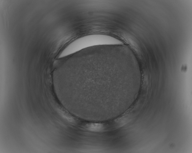 X0000090620361200707311249