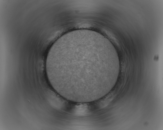 X0000090620362200707311249