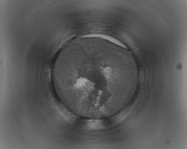 X0000090620363200707311249