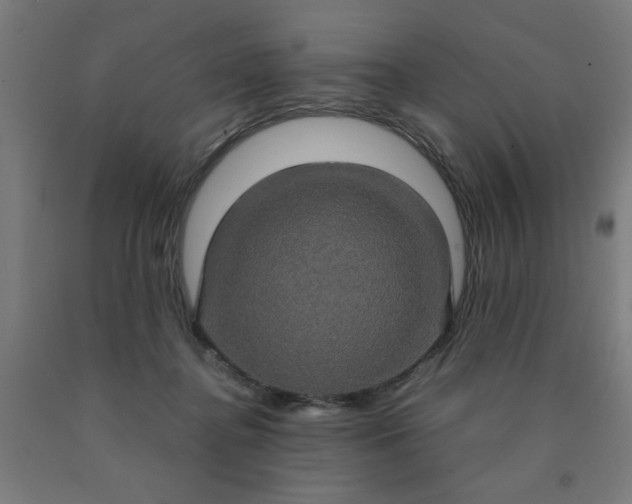 X0000090620364200707311249