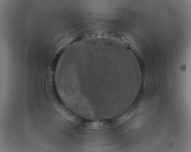 X0000090620366200707311249