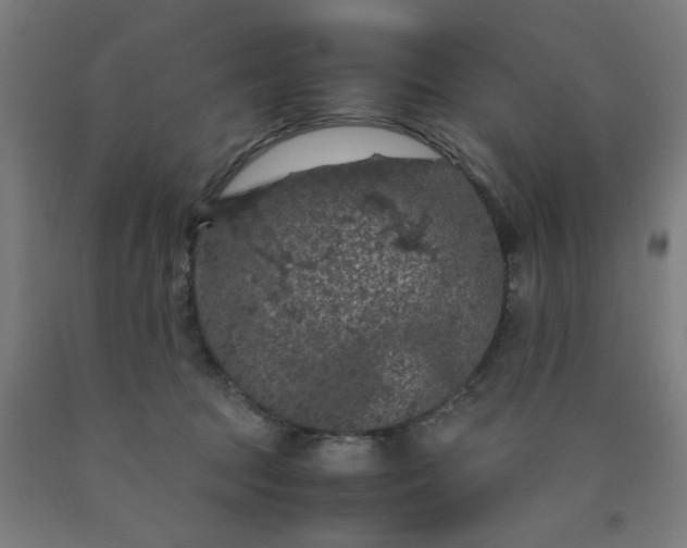 X0000090620369200707311249