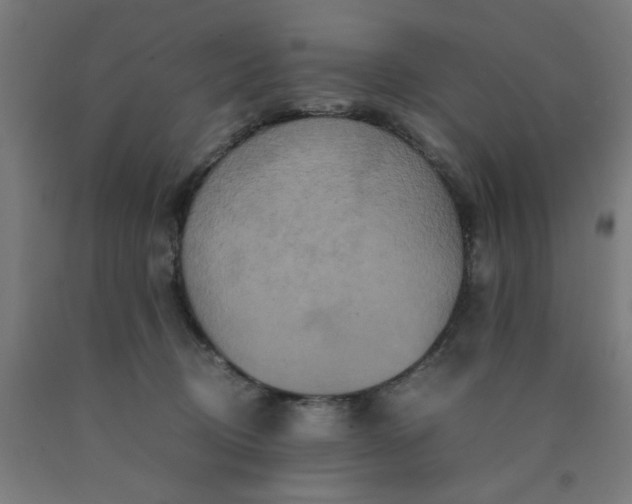 X0000090620370200707311249