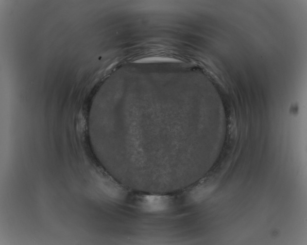 X0000090620371200707311249