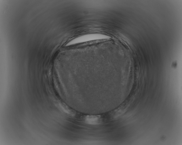 X0000090620373200707311249