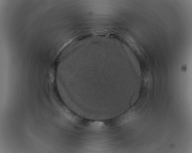 X0000090620374200707311249