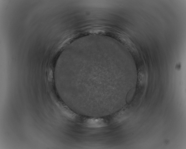 X0000090620375200707311249