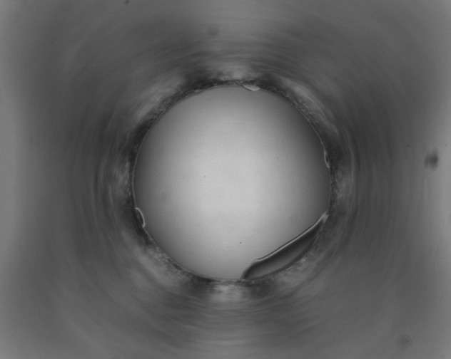 X0000090620376200707311249