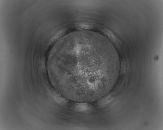 X0000090620377200707311249