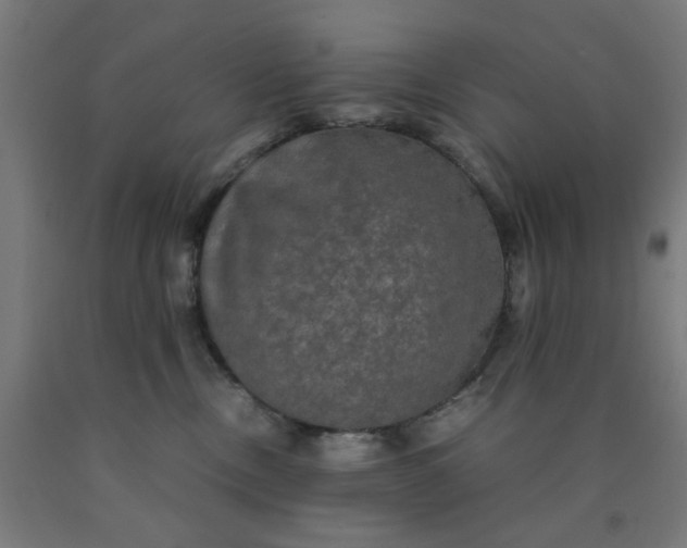 X0000090620378200707311249