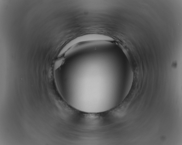 X0000090620380200707311249