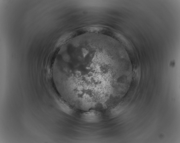 X0000090620381200707311249