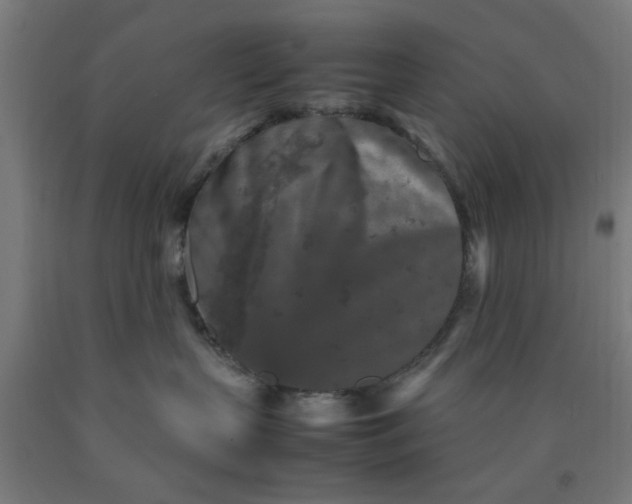 X0000090620383200707311249