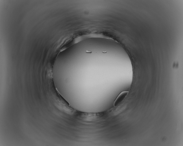 X0000090620384200707311249