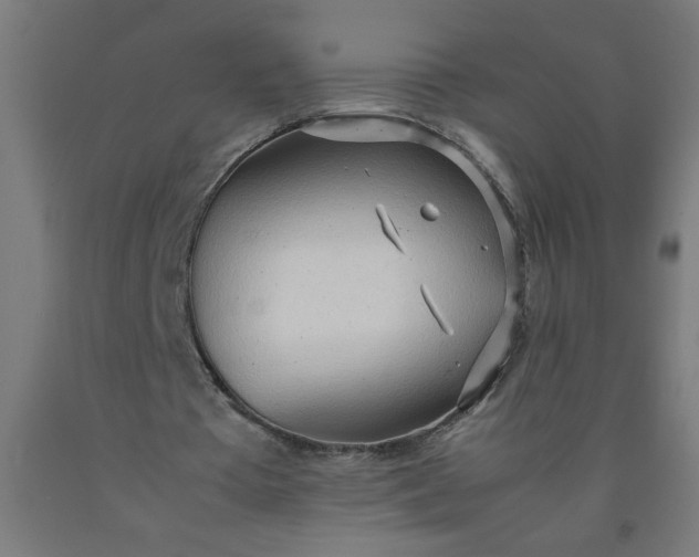 X0000090620385200707311248