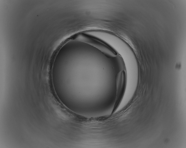 X0000090620387200707311248