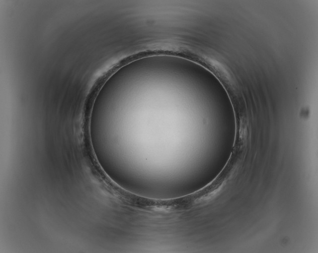 X0000090620388200707311248