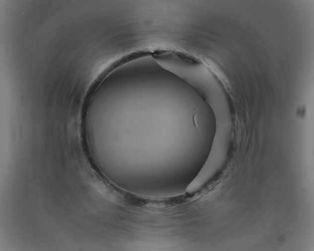 X0000090620391200707311248