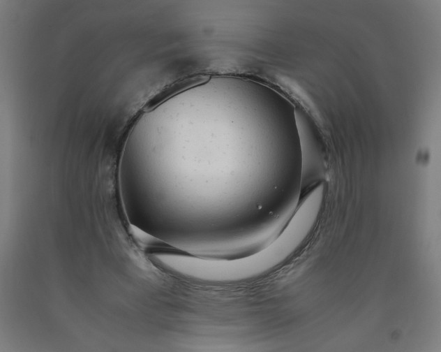 X0000090620393200707311248