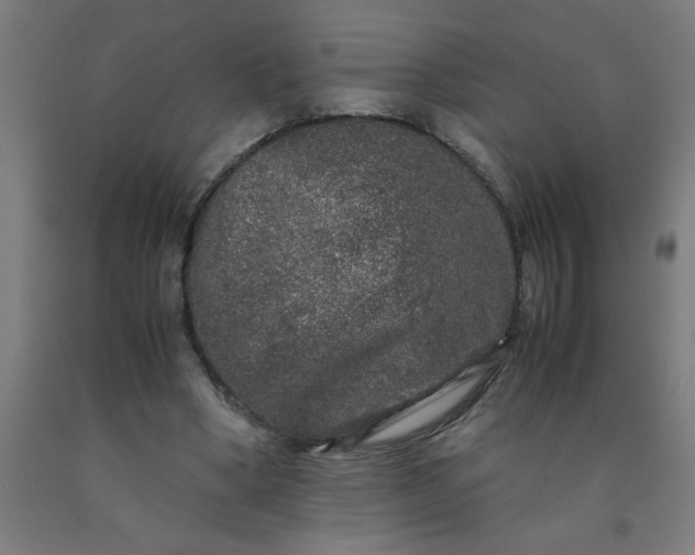 X0000090620394200707311248