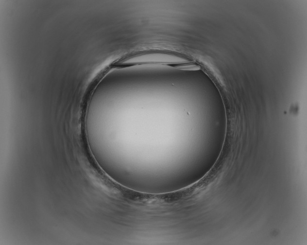 X0000090620395200707311248