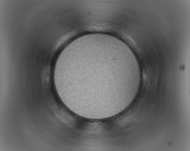 X0000090620396200707311248