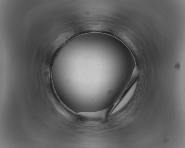 X0000090620397200707311248