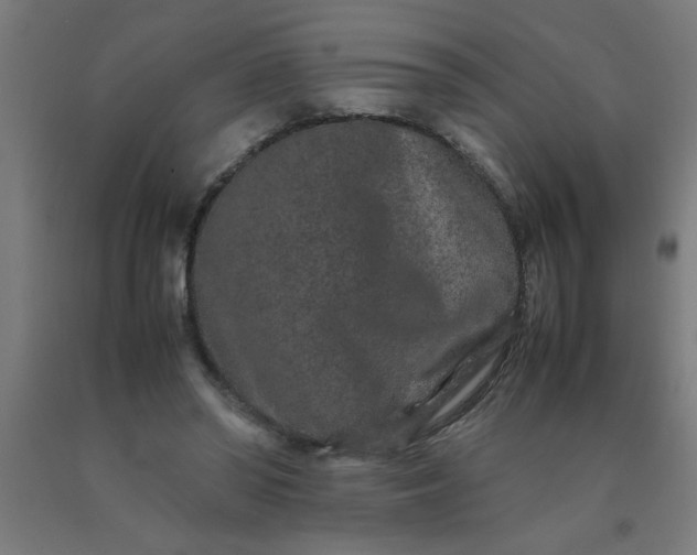 X0000090620398200707311248