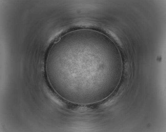 X0000090620399200707311248