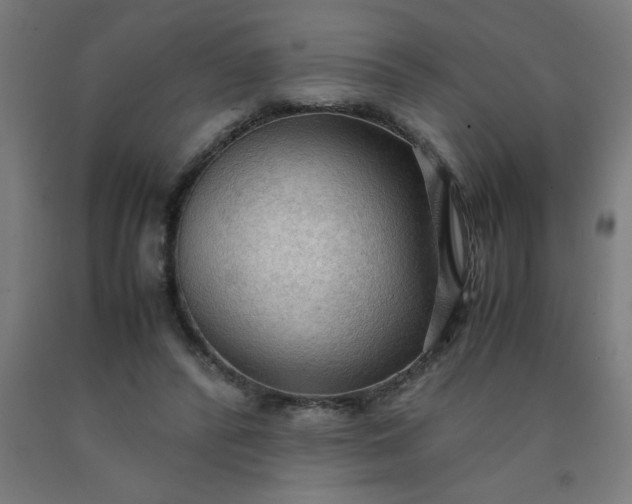 X0000090620400200707311248