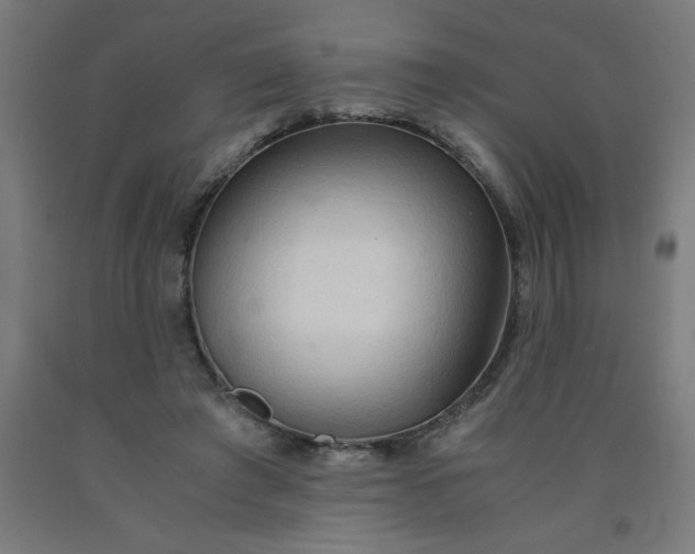 X0000090620401200707311248