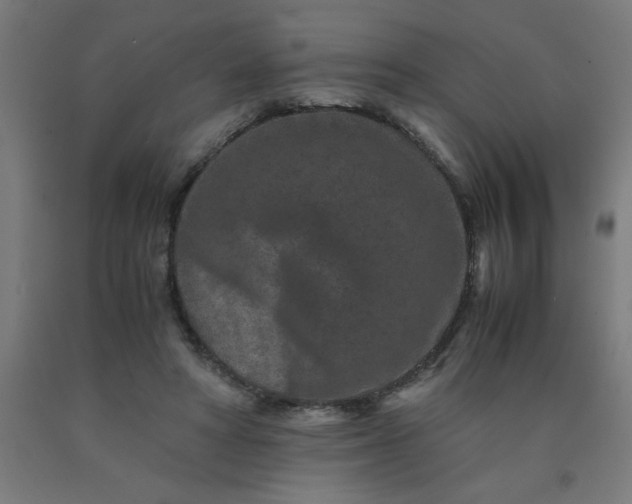 X0000090620402200707311248