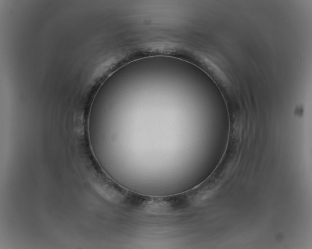 X0000090620403200707311248