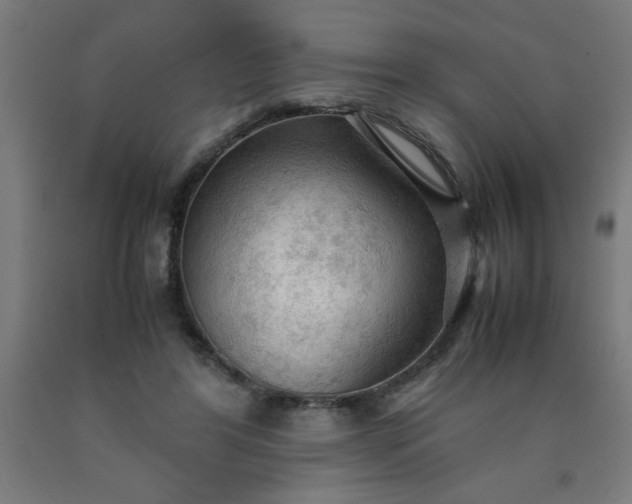 X0000090620404200707311248