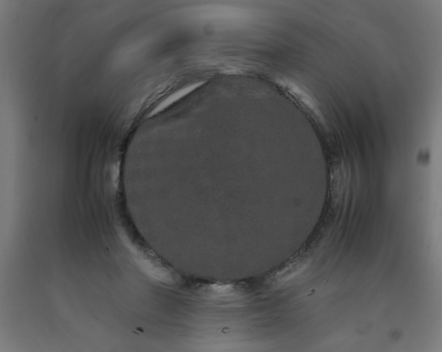 X0000090620406200707311248