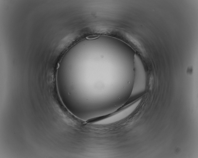 X0000090620407200707311248