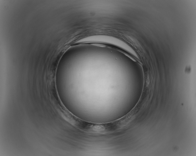 X0000090620409200707311248