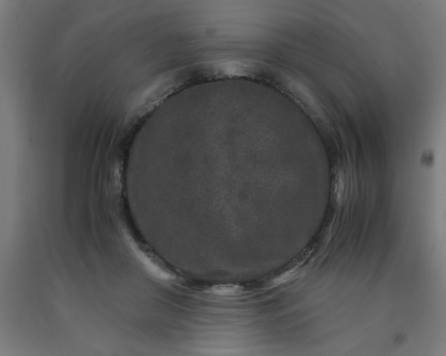 X0000090620410200707311248