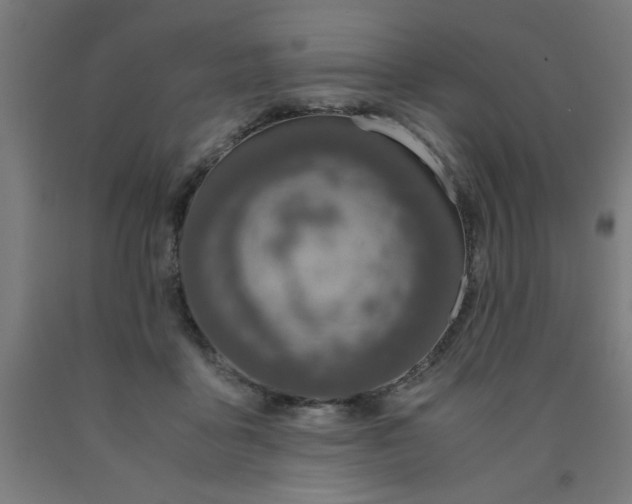 X0000090620411200707311248