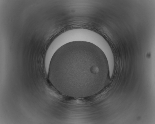 X0000090620412200707311248