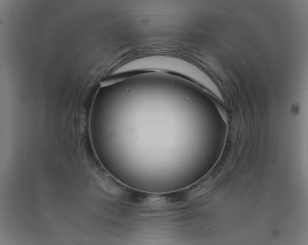 X0000090620413200707311248