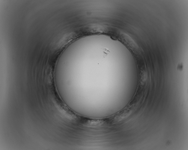 X0000090620414200707311248