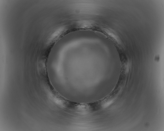 X0000090620415200707311248