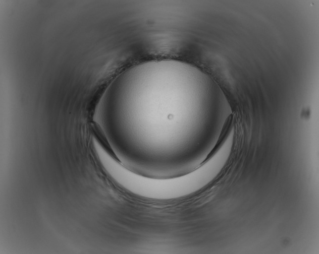 X0000090620416200707311248