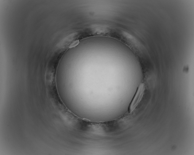 X0000090620417200707311248