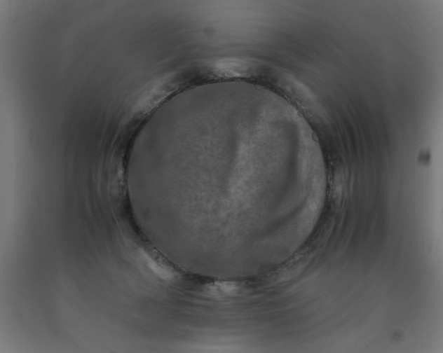 X0000090620418200707311248