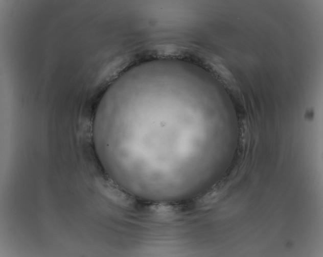 X0000090620419200707311248