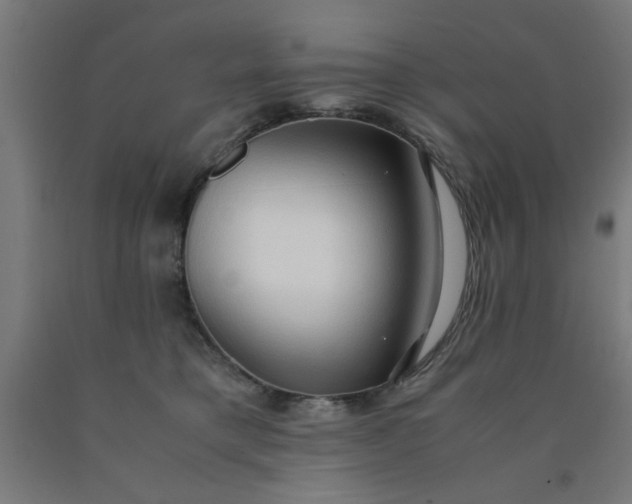 X0000090620421200707311248