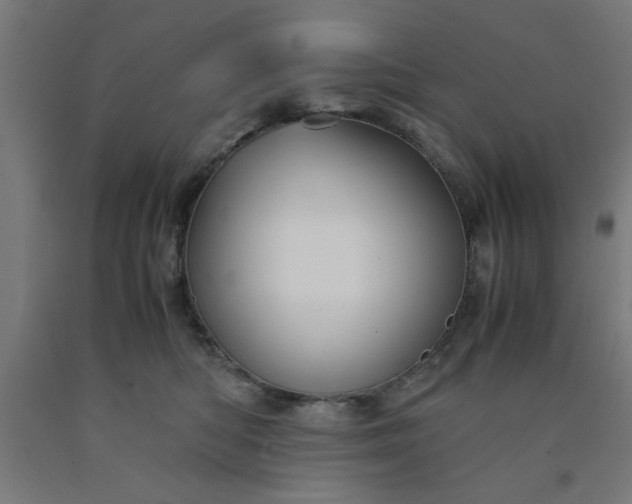 X0000090620422200707311248